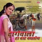 Shrikrishana Sawant Songs MP3 Download